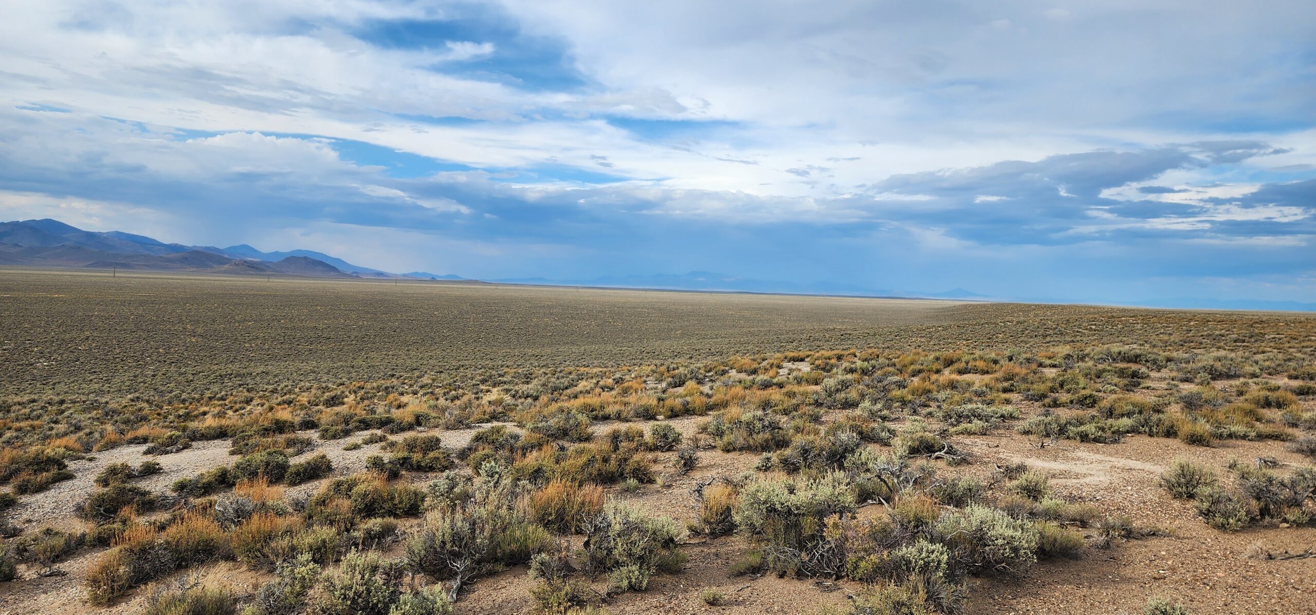 Rising Travel Costs Create Divide Between Wealthy and Budget-Conscious Americans This Summer