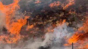 Southern California Wildfire Forces Thousands to Evacuate – [your]NEWS