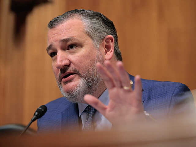 Senator Ted Cruz Urges President Trump to Officially Recognize Somaliland Amid Rising Strategic Importance and Pro-Israel Alignment