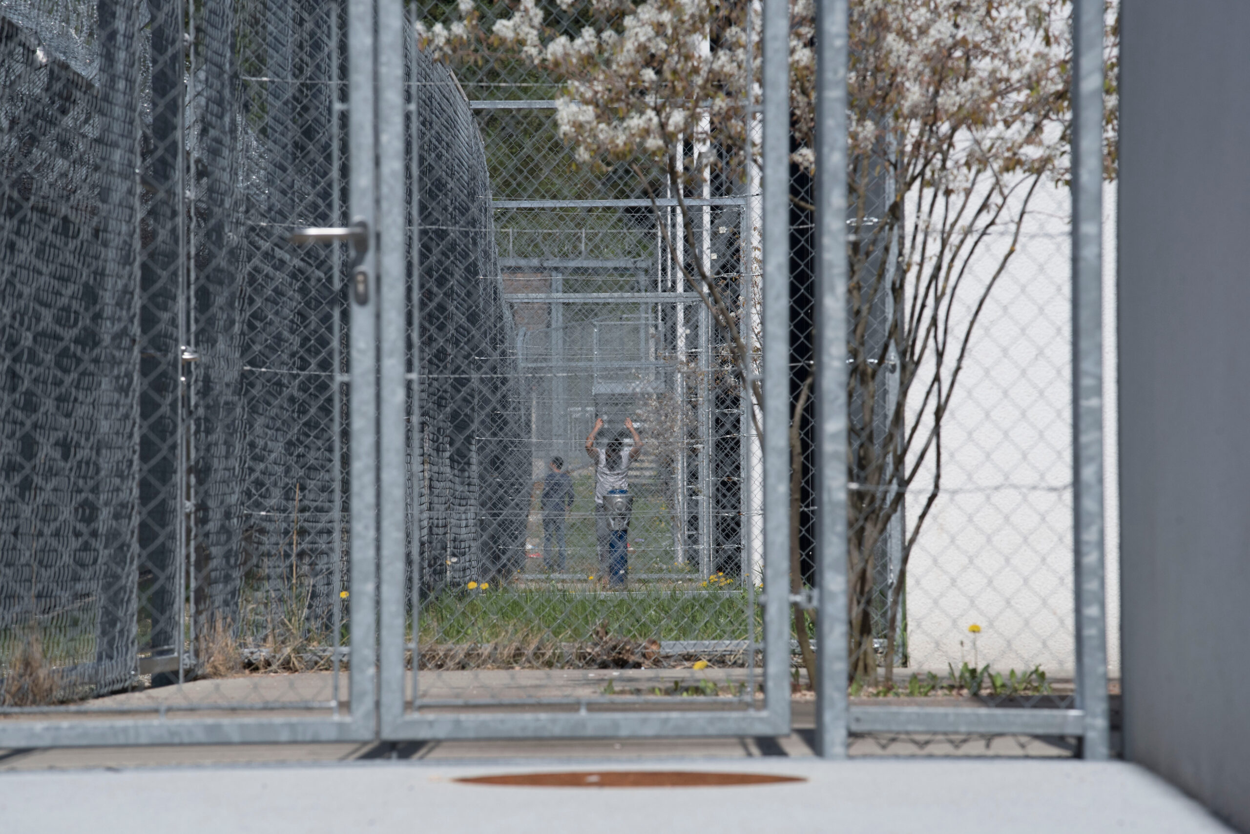 Illegal Migrant Detentions Surge 50% Since Trump Took Office