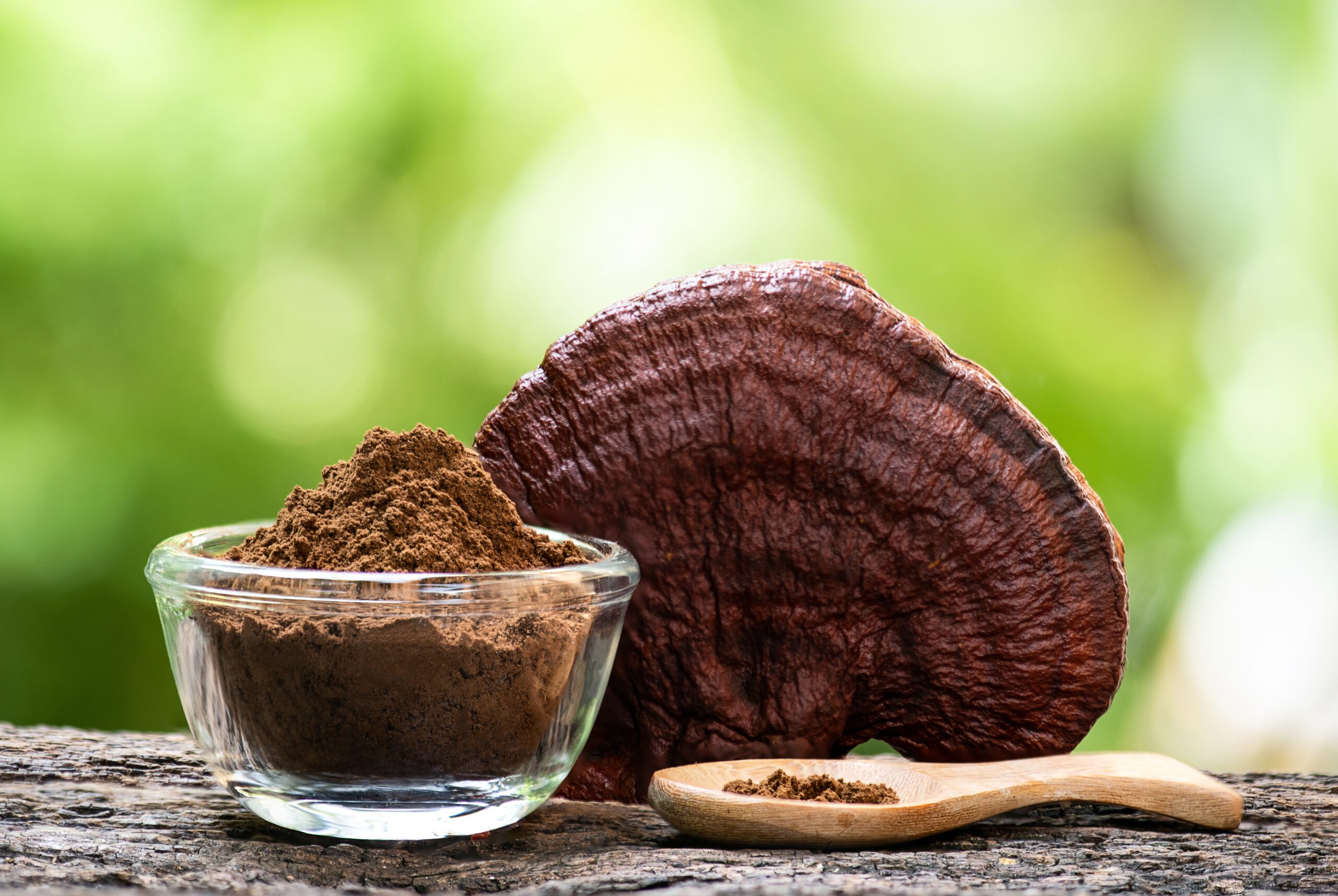 Reishi Mushroom Retains Centuries-Old Role in Traditional Medicine and Modern Wellness