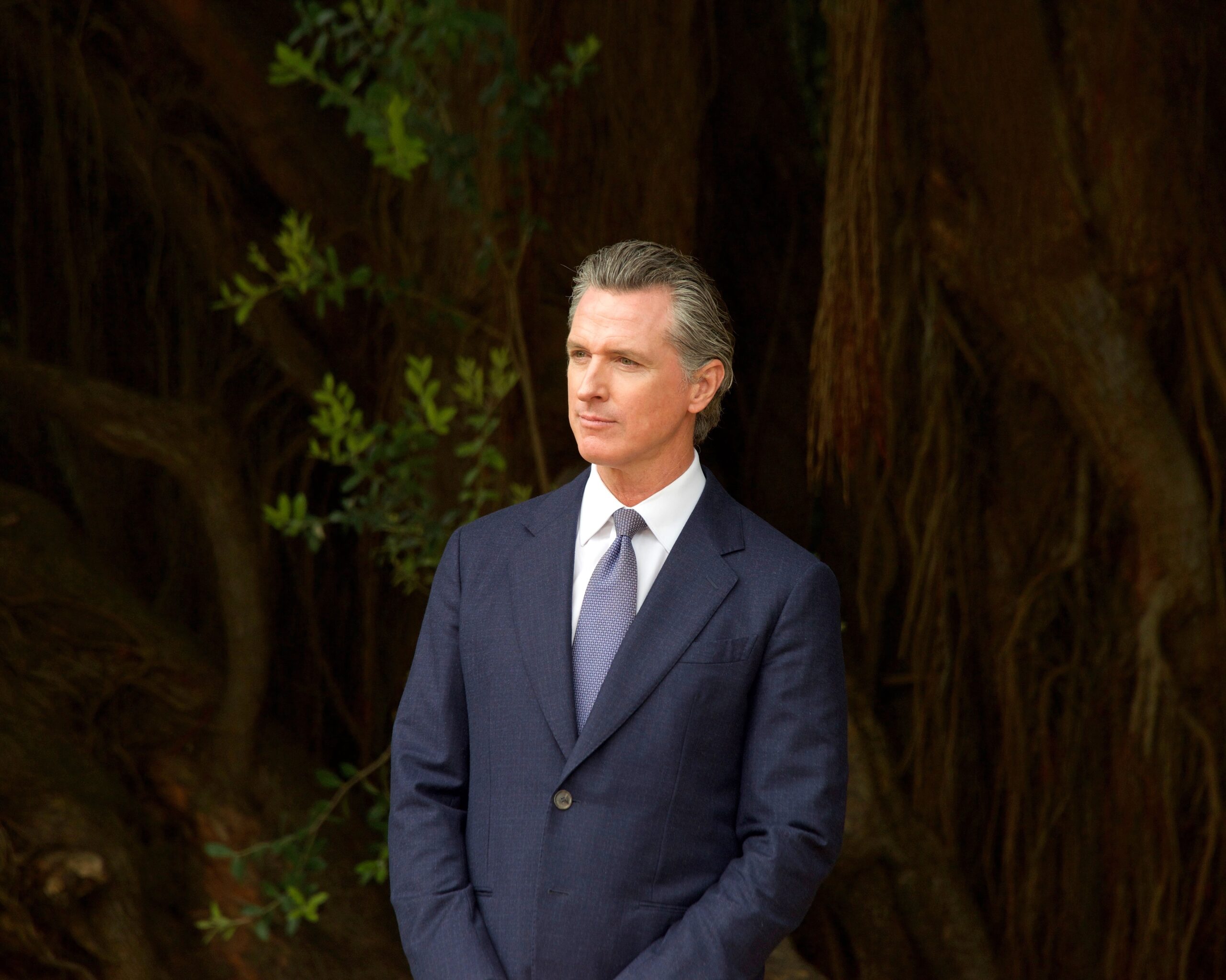 Newsom Adviser Linked to CCP Through Family Ties to Chinese Genealogy Database
