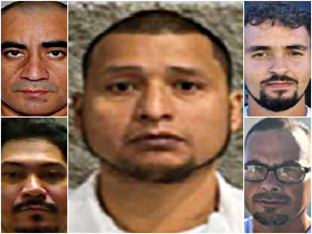 ICE Agents Press On With Arrests of Violent Criminal Illegal Aliens Amid Government Shutdown