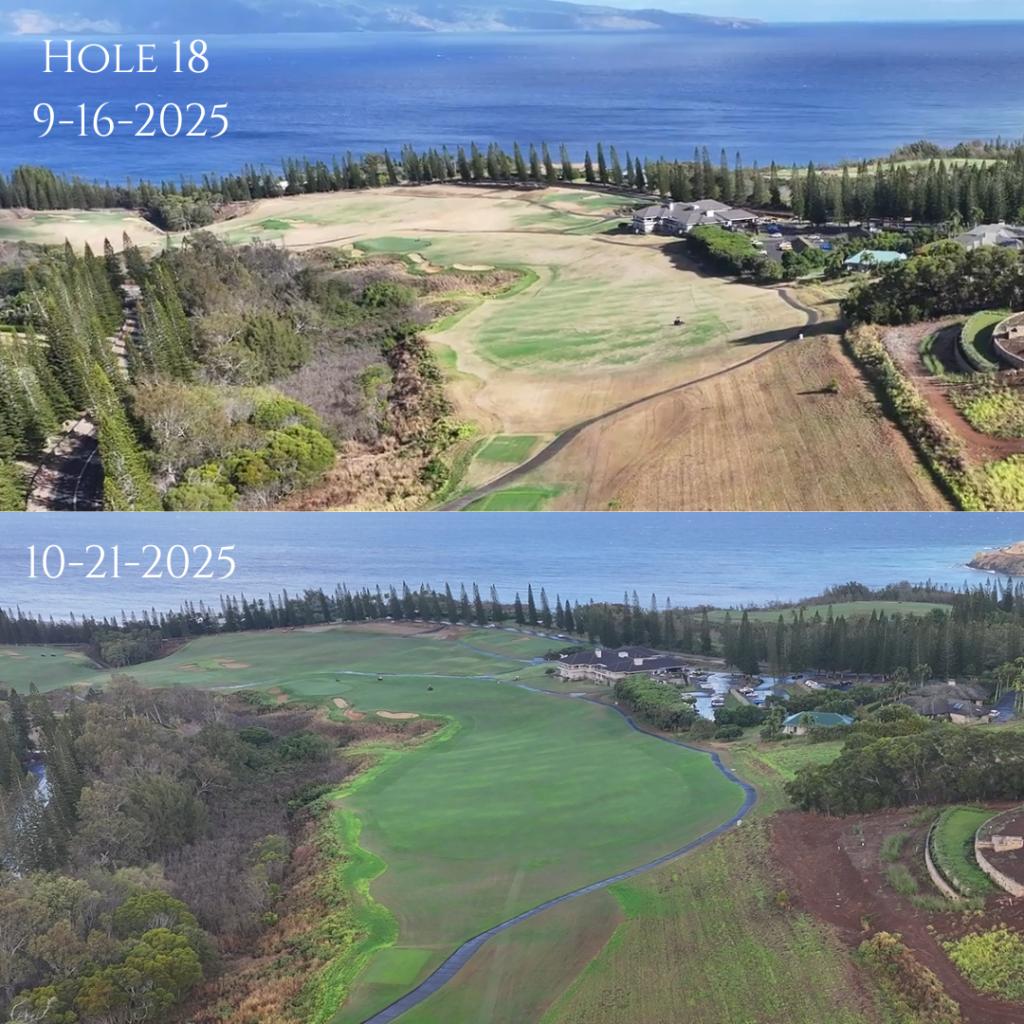 Kapalua’s Plantation Course opening, but not in condition to host The Sentry