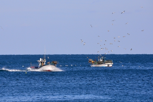 South Korea is losing more fishermen at sea
