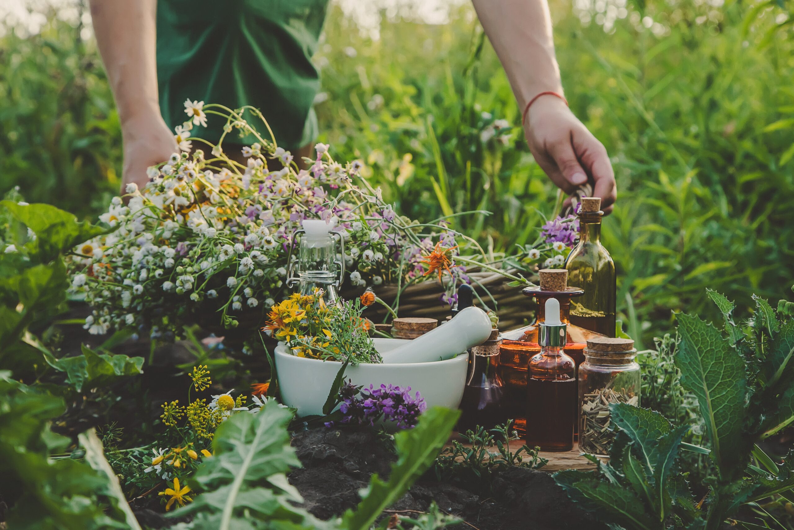 Grow Your Own Apothecary: How to Cultivate, Harvest, and Transform Herbs into Medicine