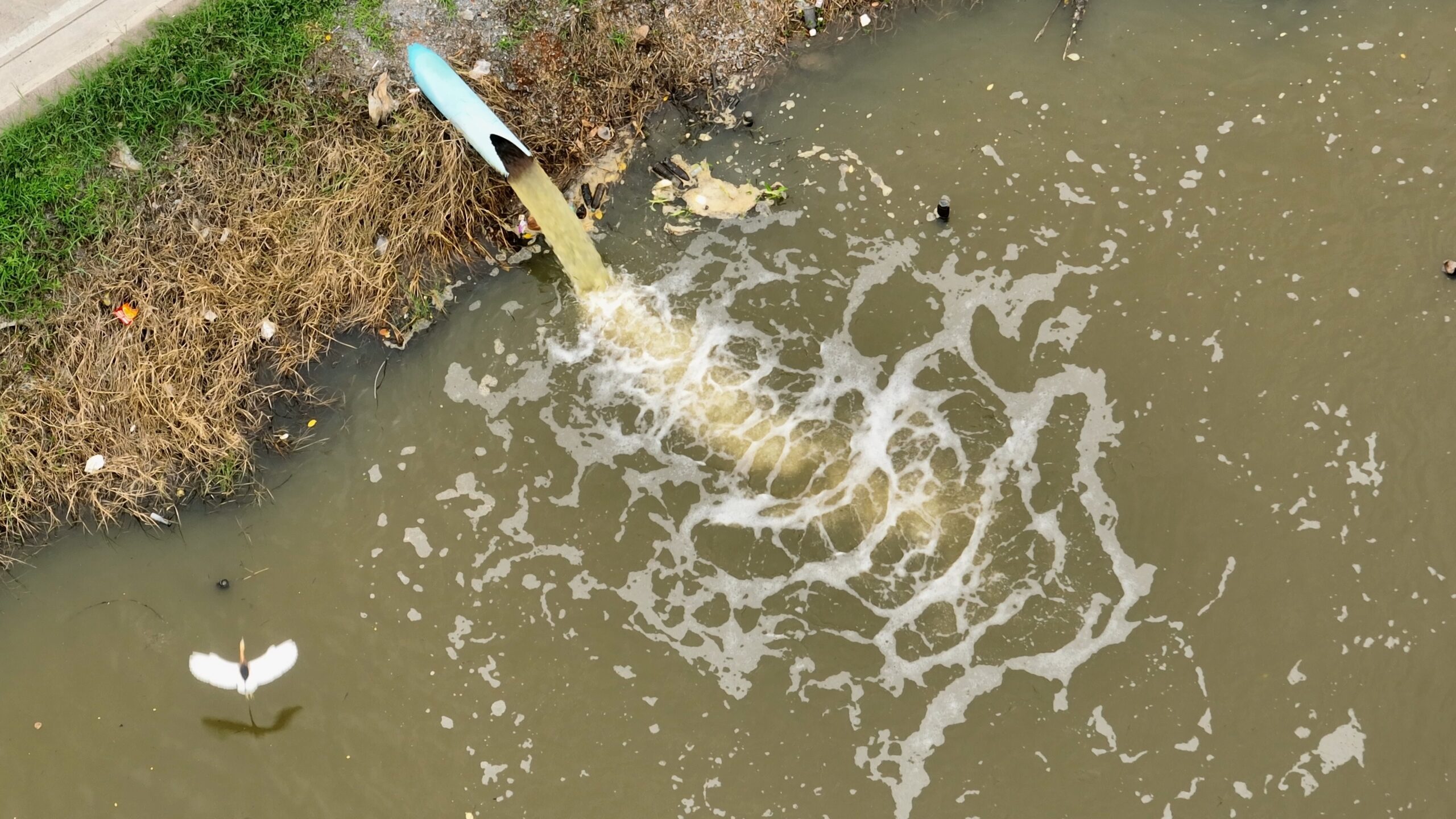 States Move to Regulate “Forever Chemicals” as Federal PFAS Action Stalls
