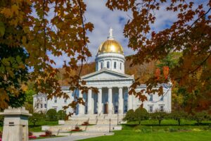 Vermont State Senator Resigns Following Leak of Offensive Young