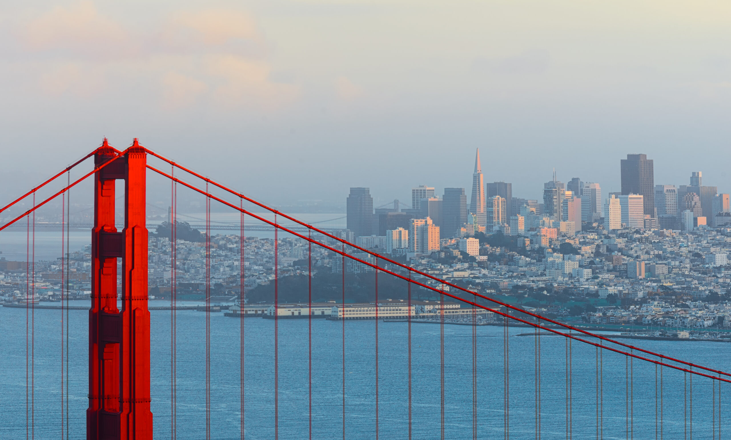 Trump Pauses Federal Agent Deployment to San Francisco After Mayor’s Crime Progress Plea