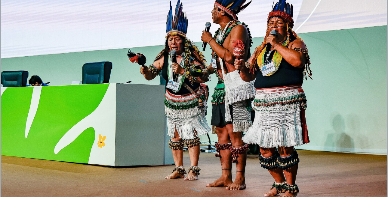 Indigenous Protesters Disrupt COP30 Summit in Brazil, Demand Action to Protect Amazon Lands