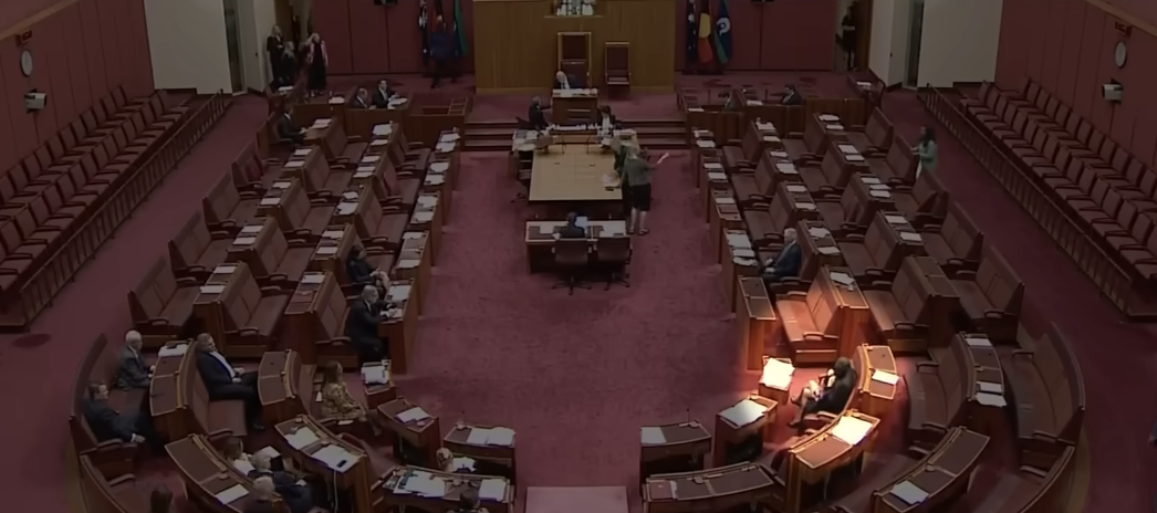 Australian Senate Erupts After Pauline Hanson Wears Burqa in Protest, Sparks Accusations of Racism