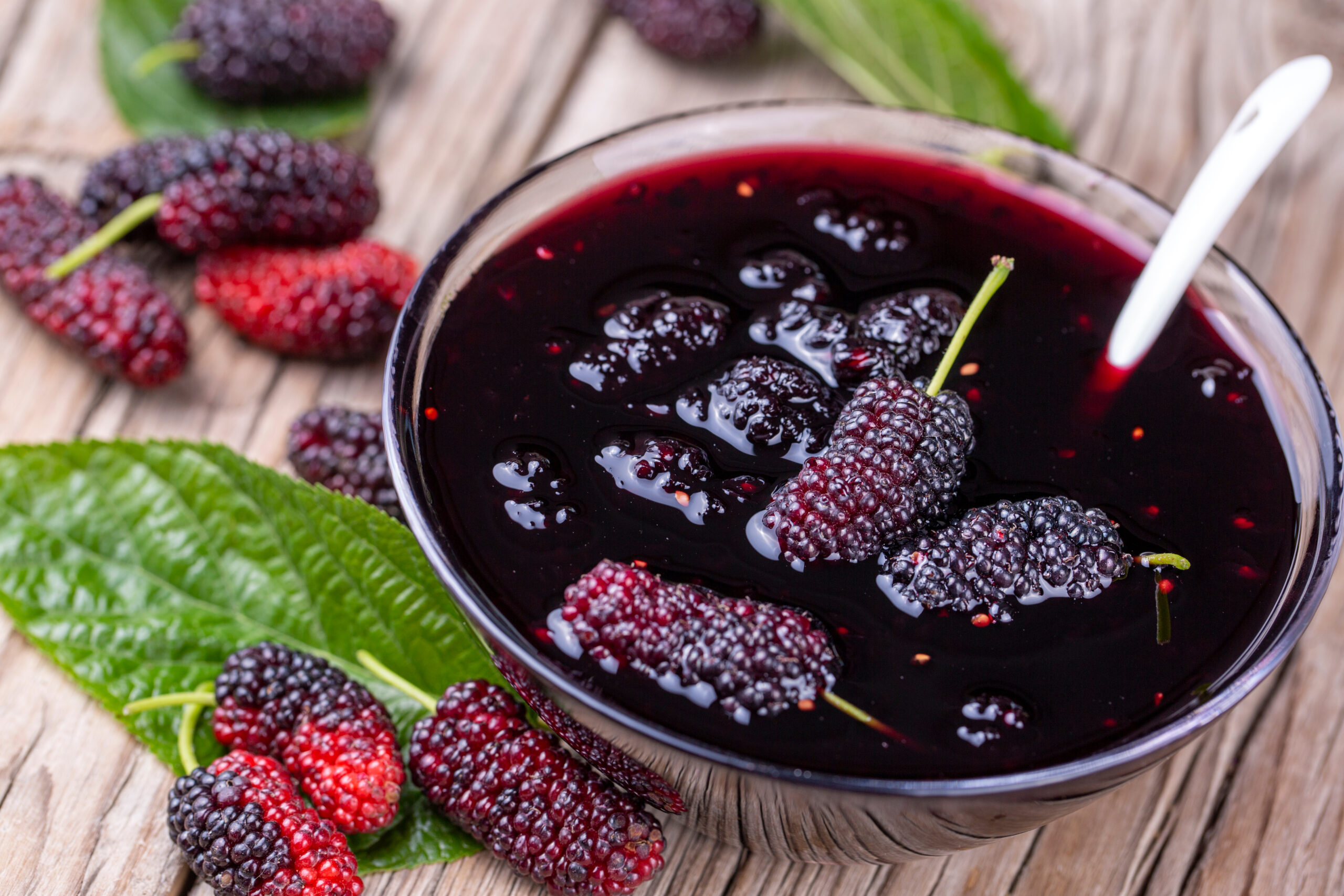 Mulberries: The Ancient Superfruit Blossoming in Modern Nutrition