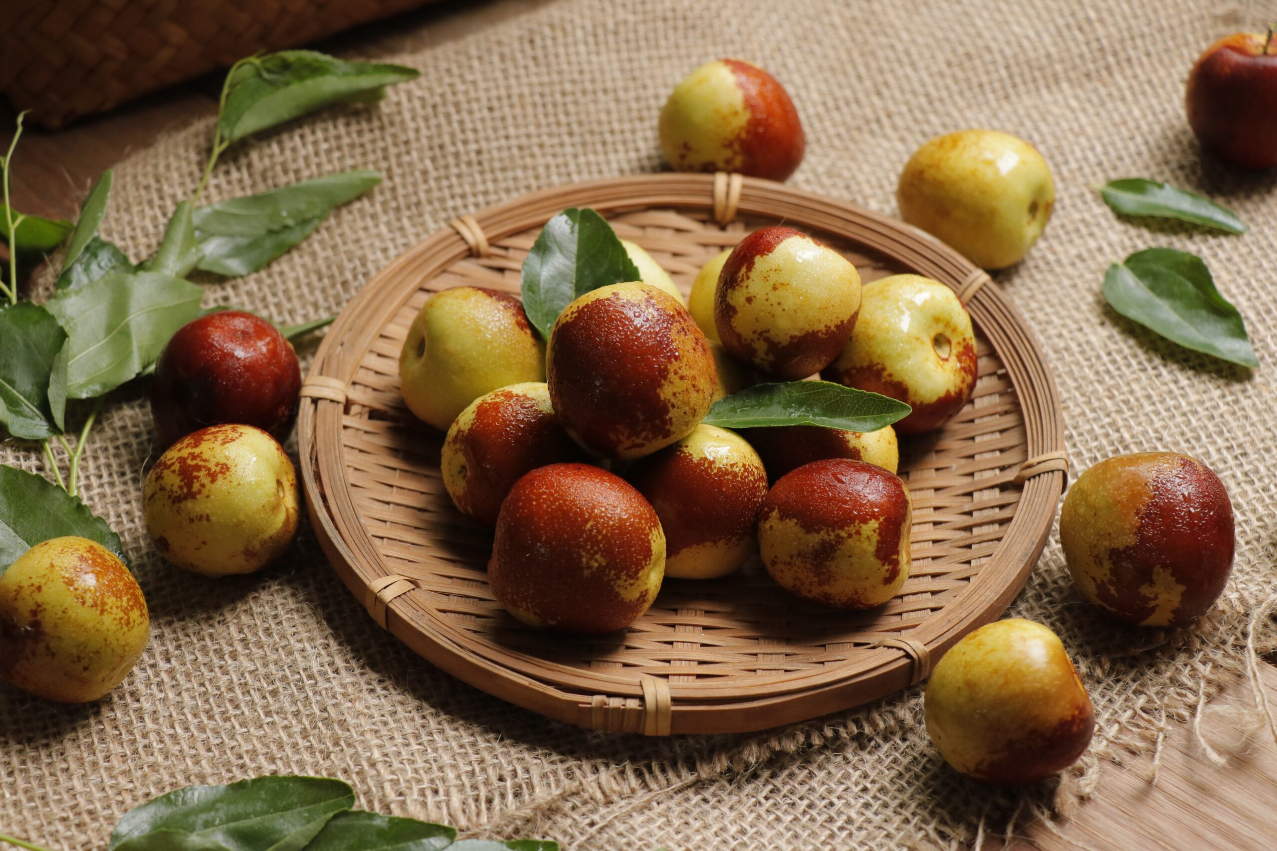 Jujube Fruit Gains New Attention for Its Potent Nutritional and Medicinal Benefits