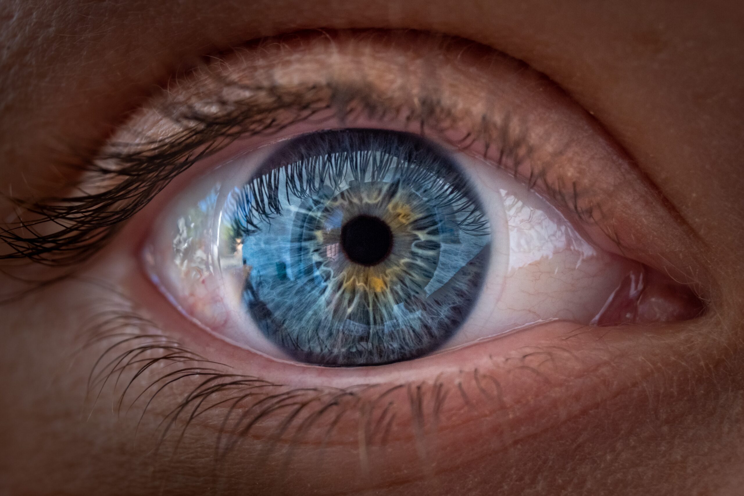 An Eye-Opening Prescription: Nutrition’s Role in Protecting Vision in the Digital Age