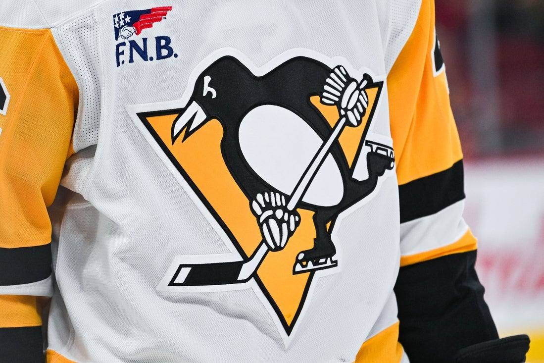 Reports: Fenway Sports Group to sell Penguins to Hoffmann family
