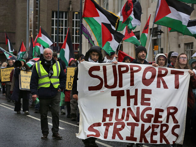Seven Pro-Palestine Activists on UK Prison Hunger Strike: Fears They May Die as Crisis Deepens
