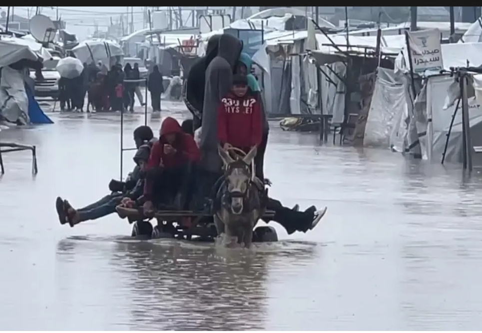 Winter Storm Deepens Gaza’s Humanitarian Emergency as Flooded Camps Expose Failures of Ceasefire Relief Efforts