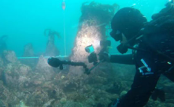 7000-Year-Old Undersea Wall Discovered Off French Coast