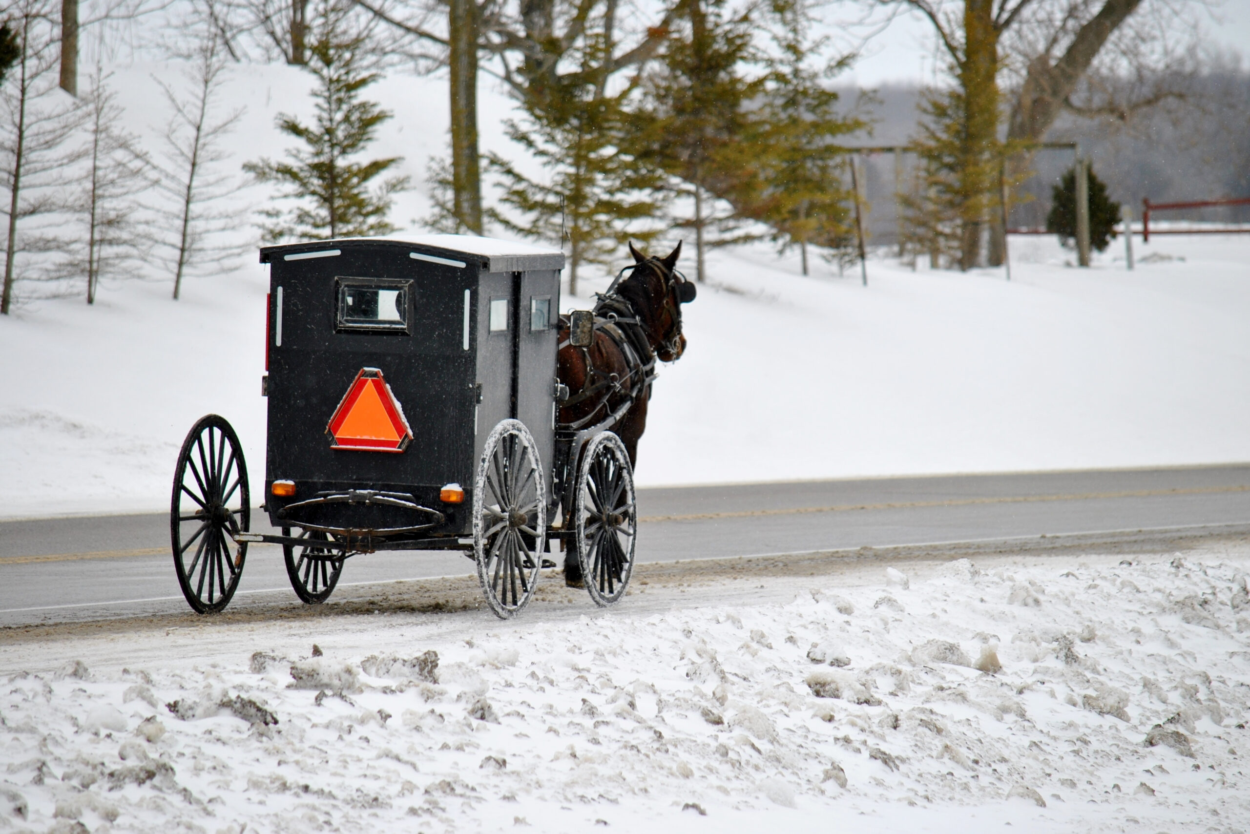 Supreme Court Reverses Lower Ruling in Landmark Victory for Amish Families Fighting New York Vaccine Mandates