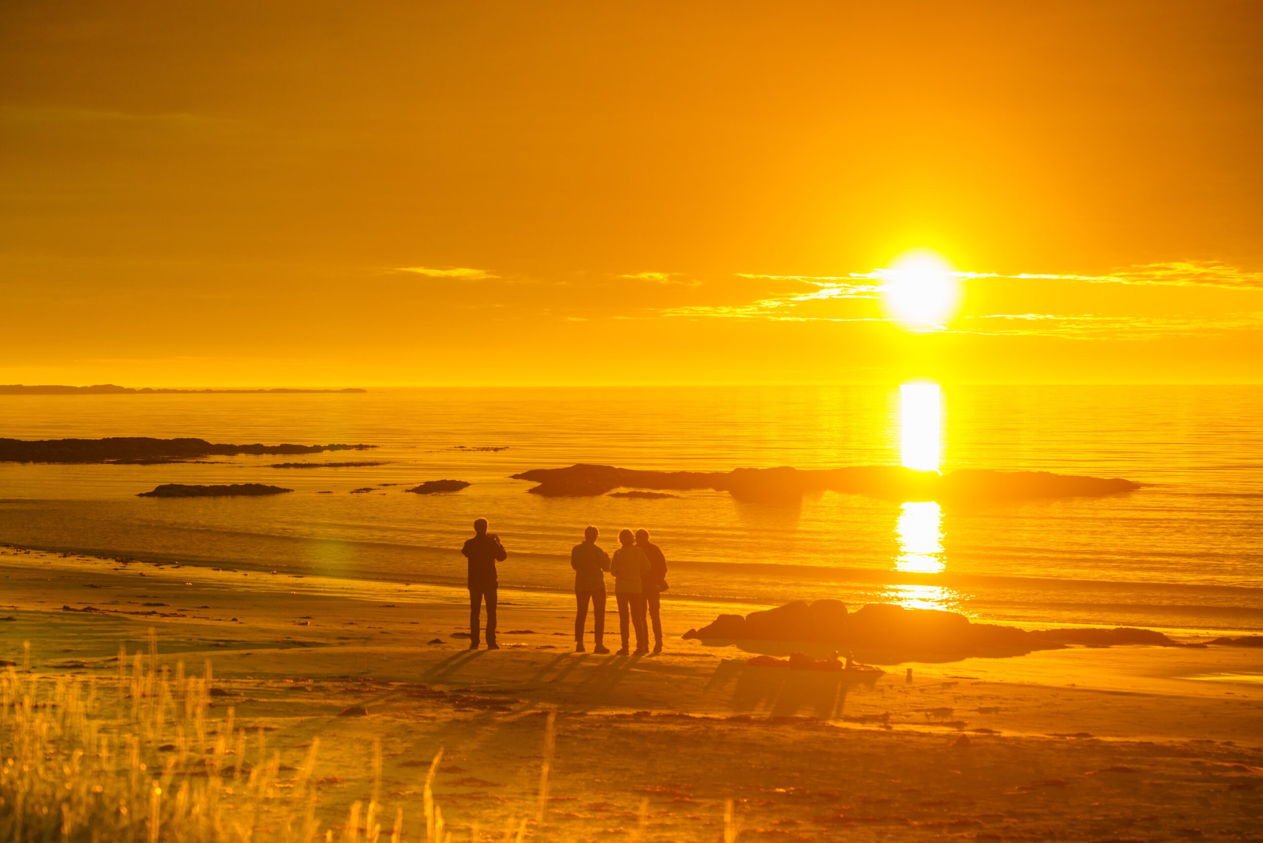 The Sun Reconsidered: New Research Reveals Its Crucial Role in Heart and Immune Health