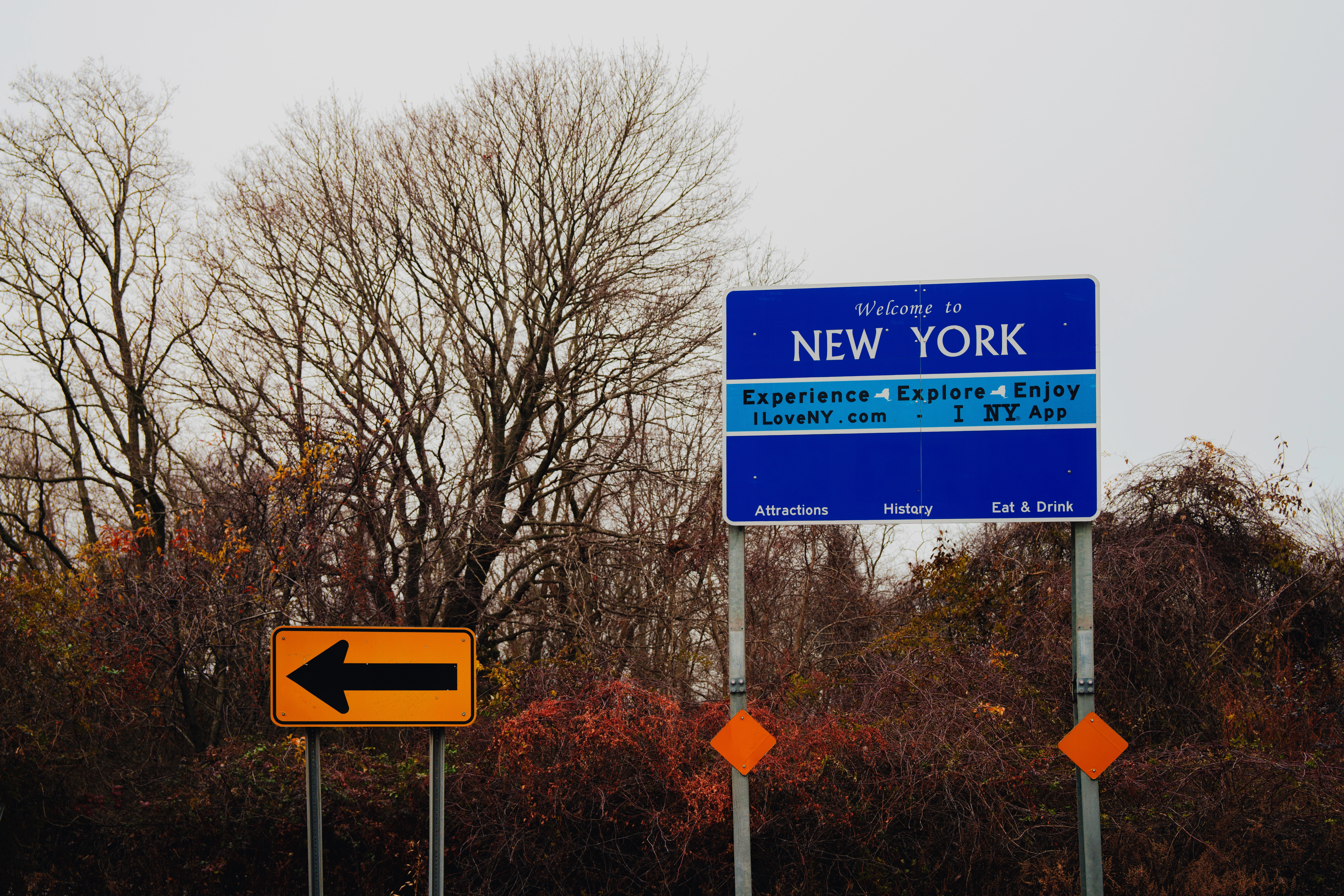 New York, Illinois Released Nearly 9,000 Criminal Aliens Despite ICE Detainers, DHS Confirms