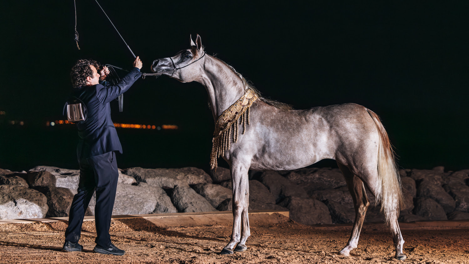 World Arabian Horse Championship Supreme dazzles in Doha