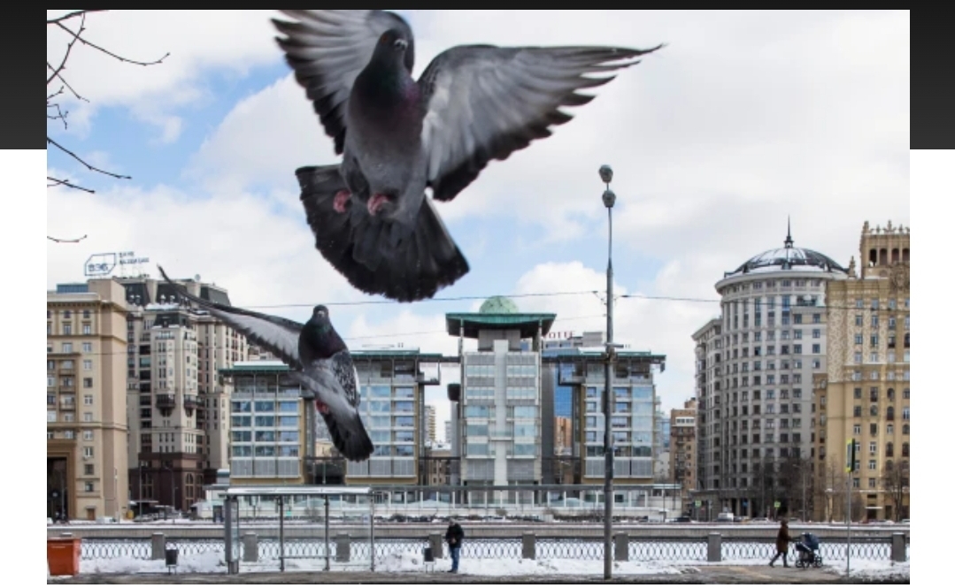 Russia Orders British Diplomat to Leave Amid Fresh Espionage Accusations