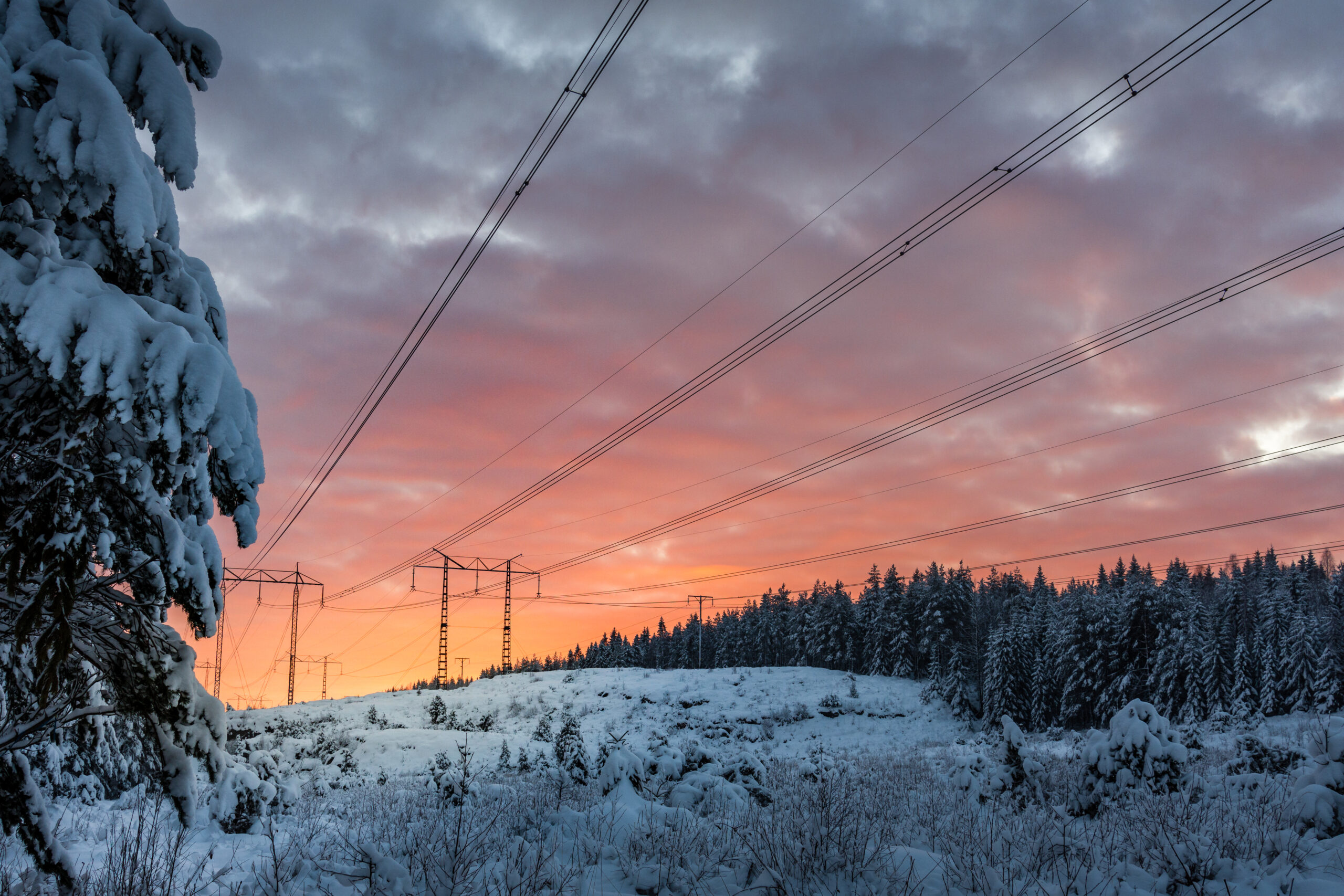 Power Grid Strain Fuels Political and Public Backlash as Data Centers Face Mounting Scrutiny