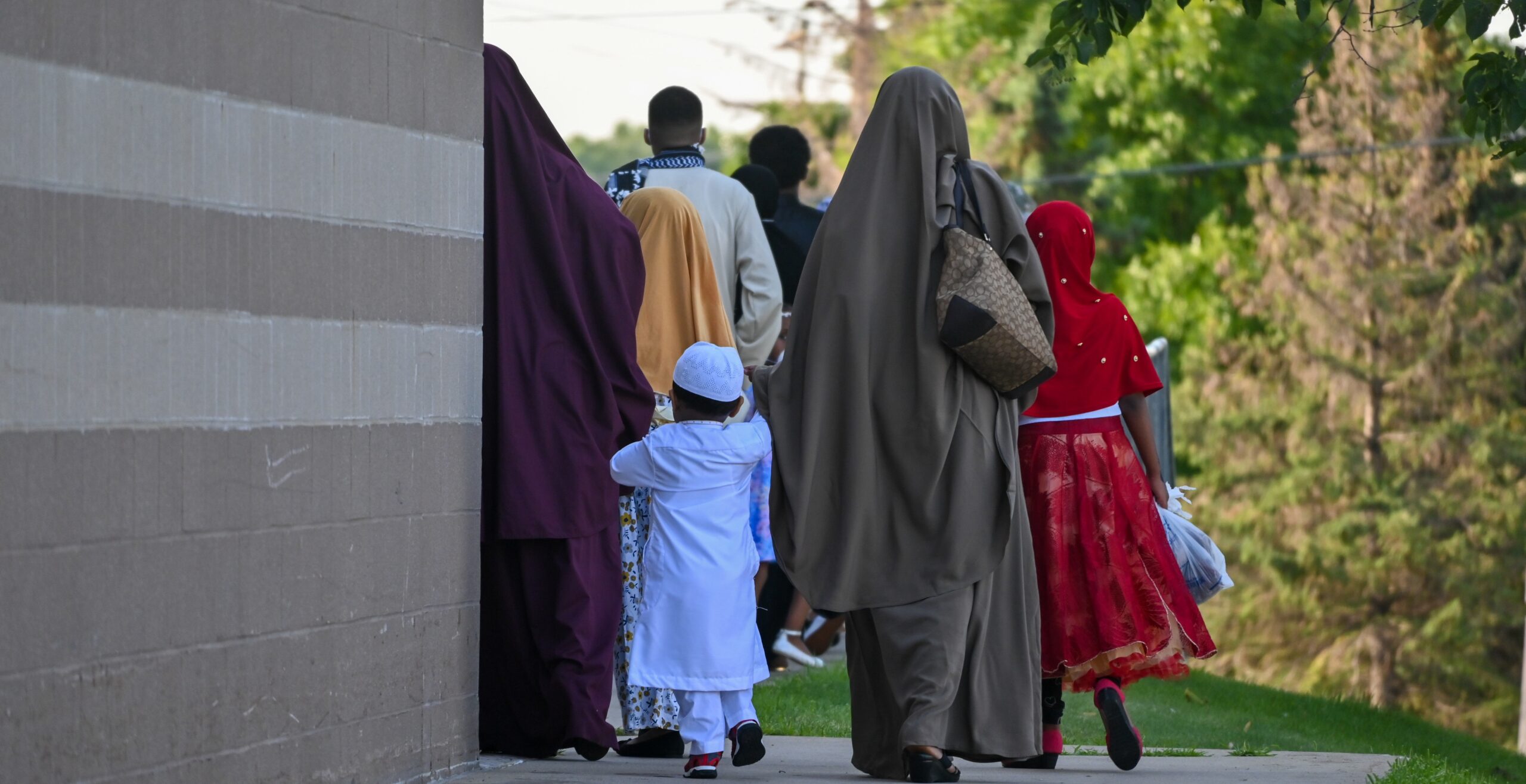 GOP Investigators Allege Coordinated Election and Welfare Fraud Strategy as Minnesota Somali Scandal Expands