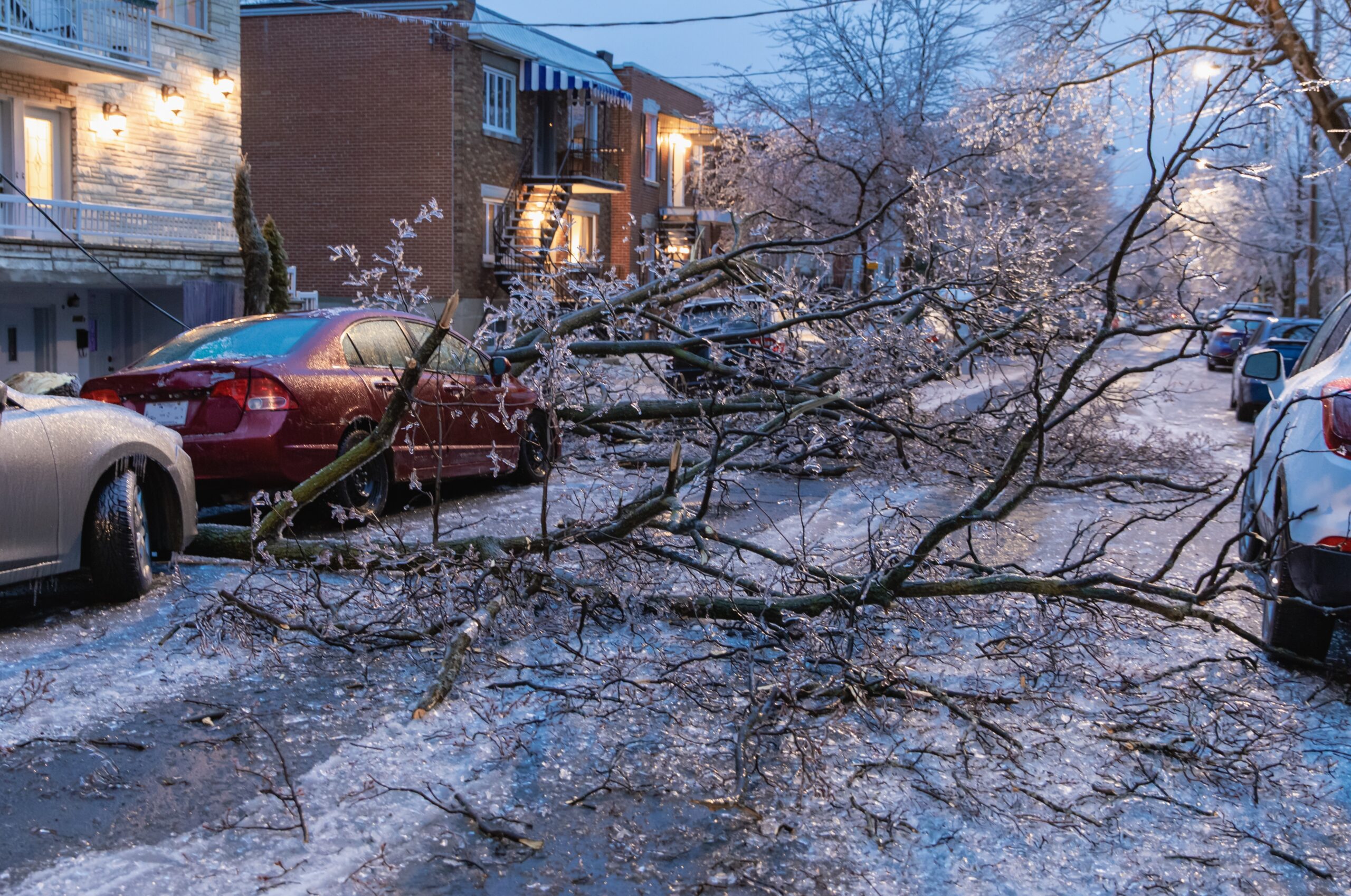 Federal Weather Officials Warn of Catastrophic Ice Storm Threatening Power, Travel Across Much of U.S.