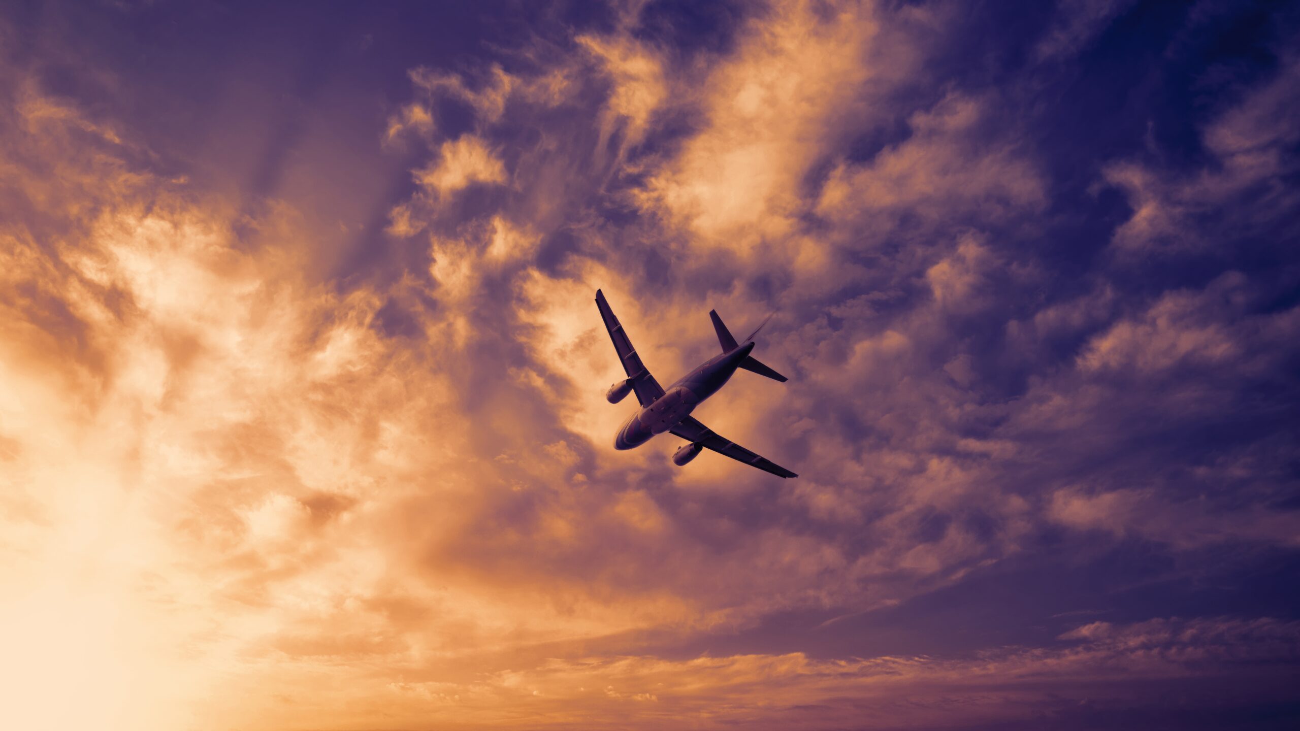 Texas Expands Aerial Distribution of Live-Virus Rabies Vaccine Baits Across Populated Areas