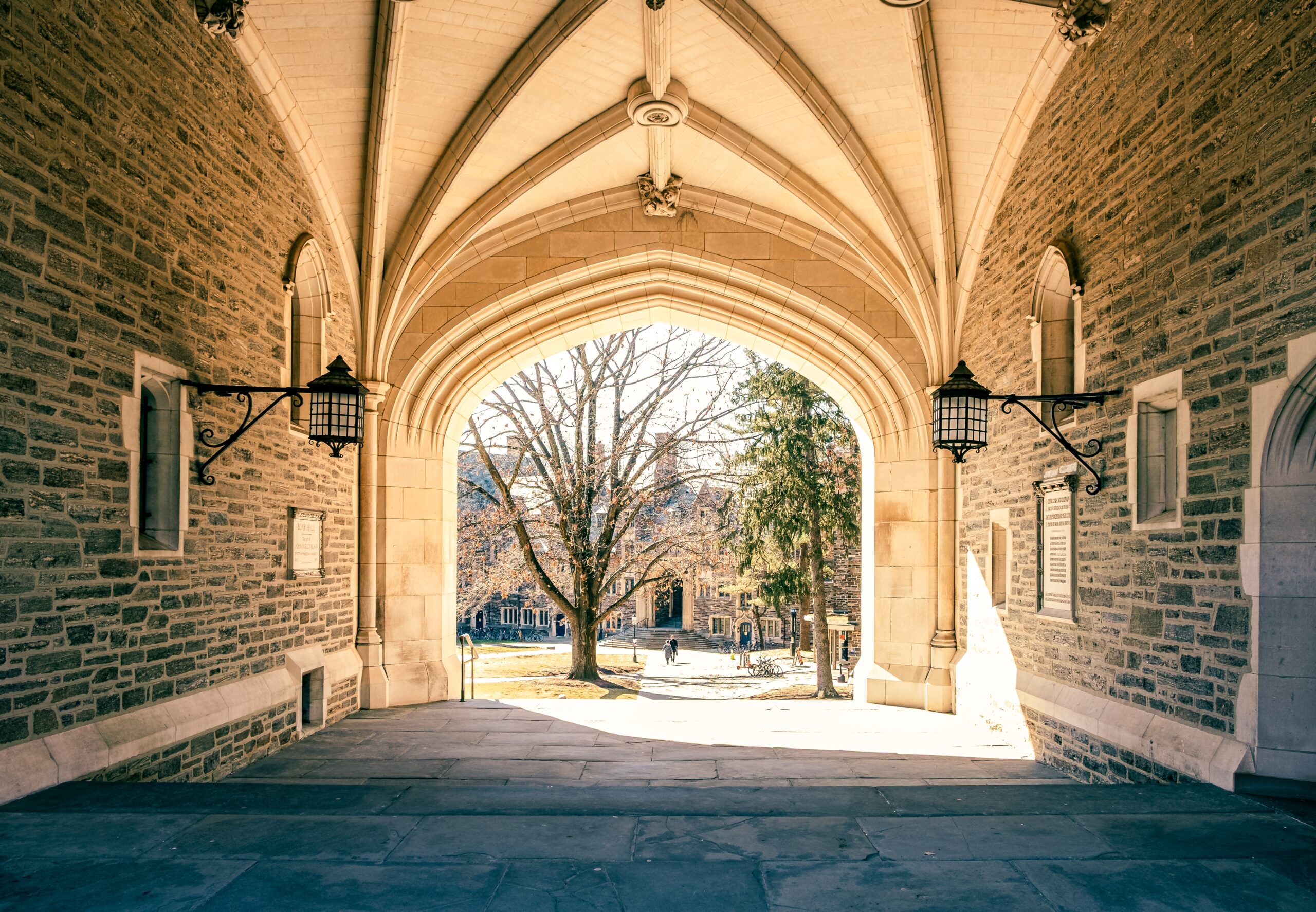 Inside the Network Shaping Chinese Student Activism on U.S. Campuses