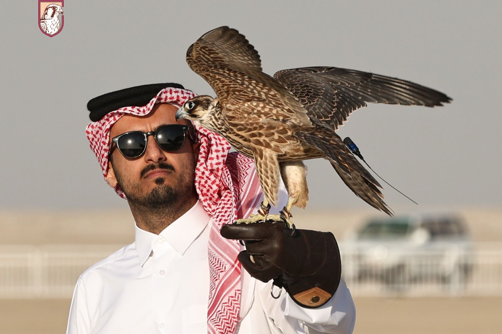 Qatar International Falconry and Hunting Festival