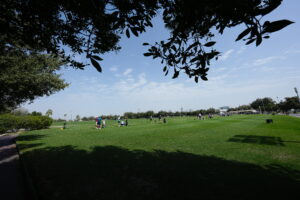 Doha Golf Club in the spotlight