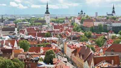 United States Congratulates Estonia on Independence Day, Highlights Security Partnership