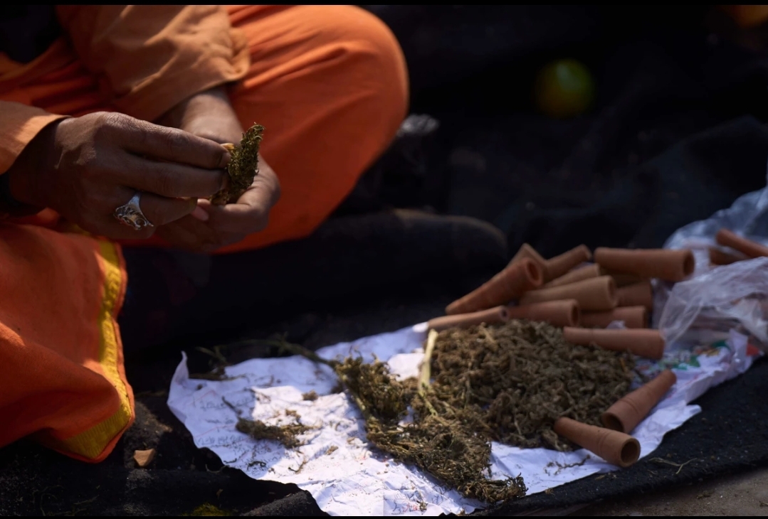 Clouds of Smoke Rise Over Kathmandu as Shivaratri Draws Devotees and Renews Debate on Cannabis Laws