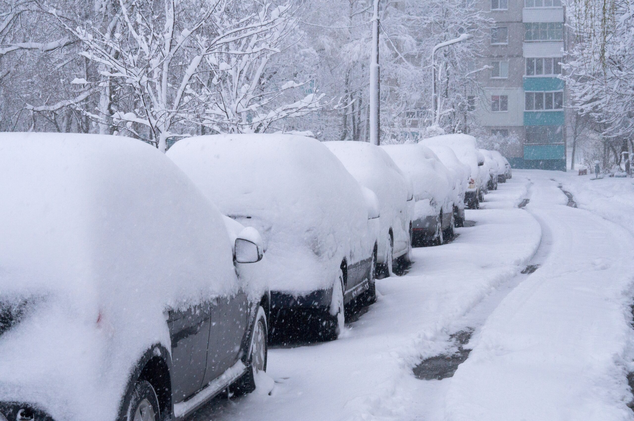 Deadly Nor’easter Leaves Two Dead, Hundreds of Thousands Without Power as Northeast Transportation Grinds to Halt