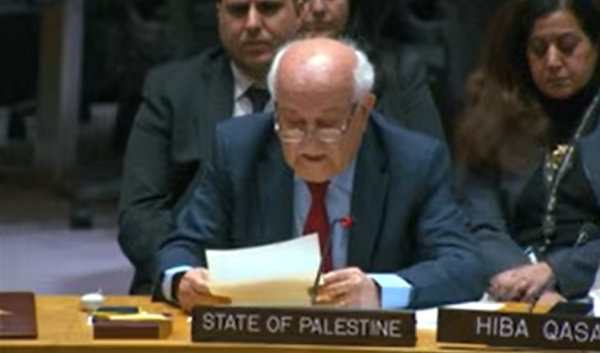 U.S. Voter Attitudes on Israel and Palestinians Shift Sharply, Reshaping Democratic Politics