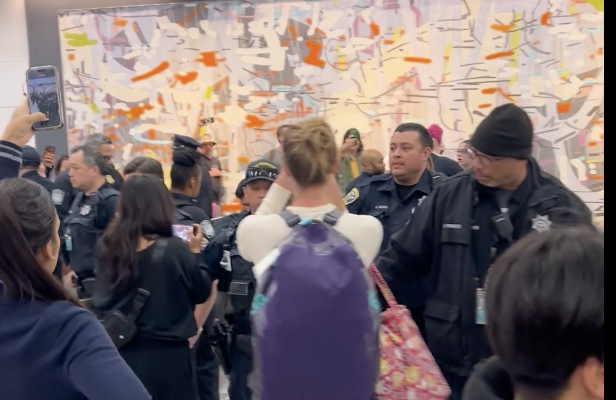 ICE Detains Illegal Immigrants at San Francisco Airport as Officials Detail Prior Deportation Order