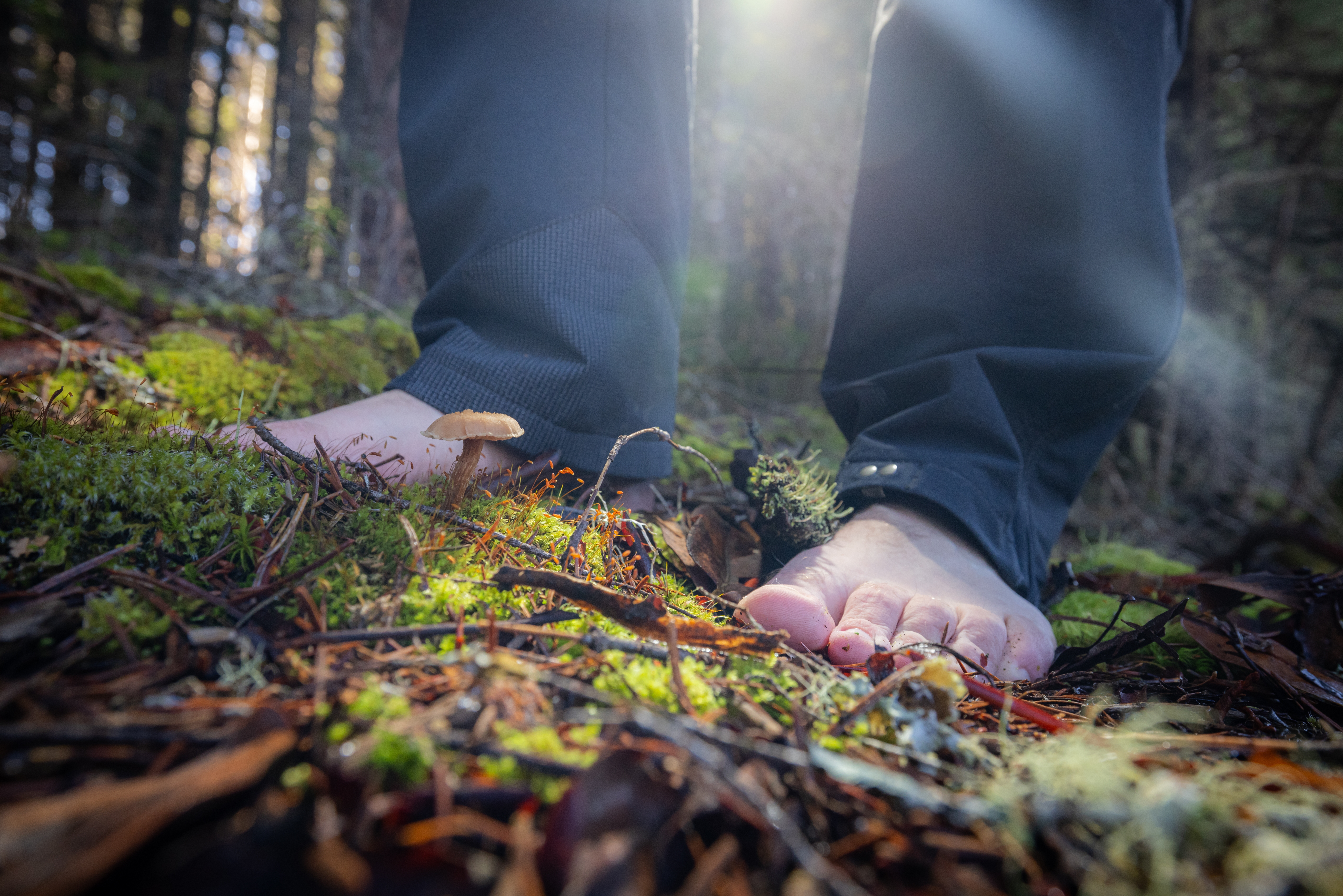 Scientific Studies Explore Health Effects of Grounding and Earth Contact