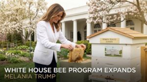 Sweet News: The White House Expands Its South Lawn Bee Program