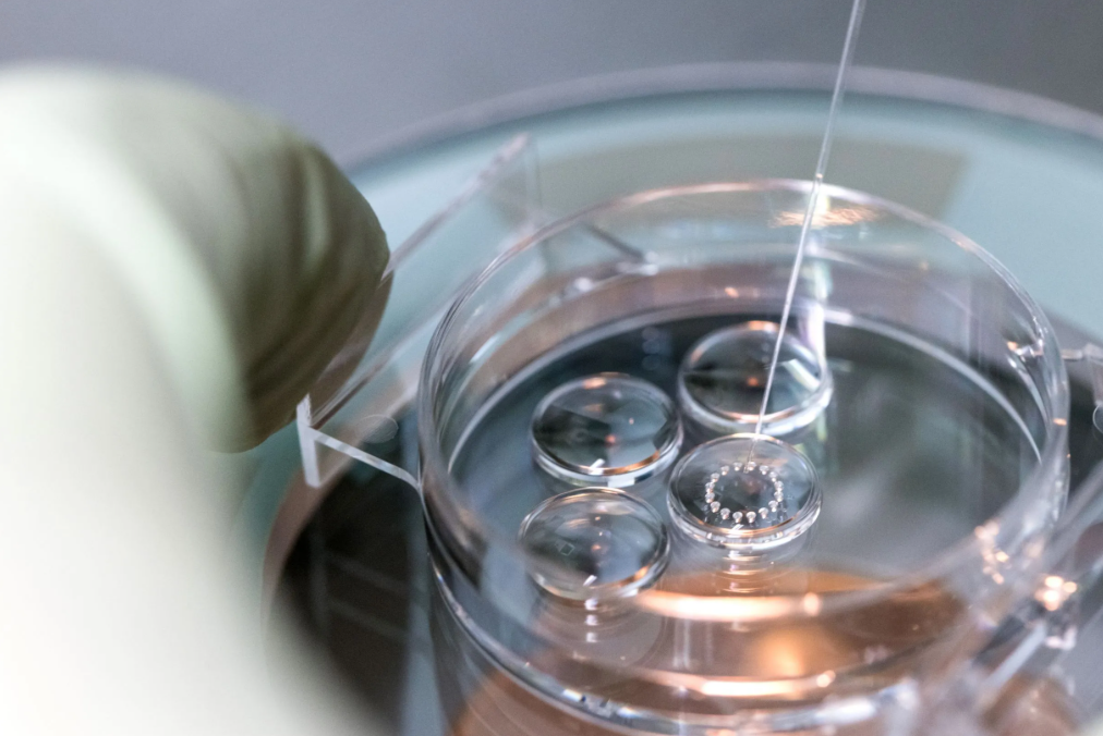 Florida Fertility Clinic to Shut Down Amid Lawsuits Over Embryo Mix-Up and Surrogacy Concerns