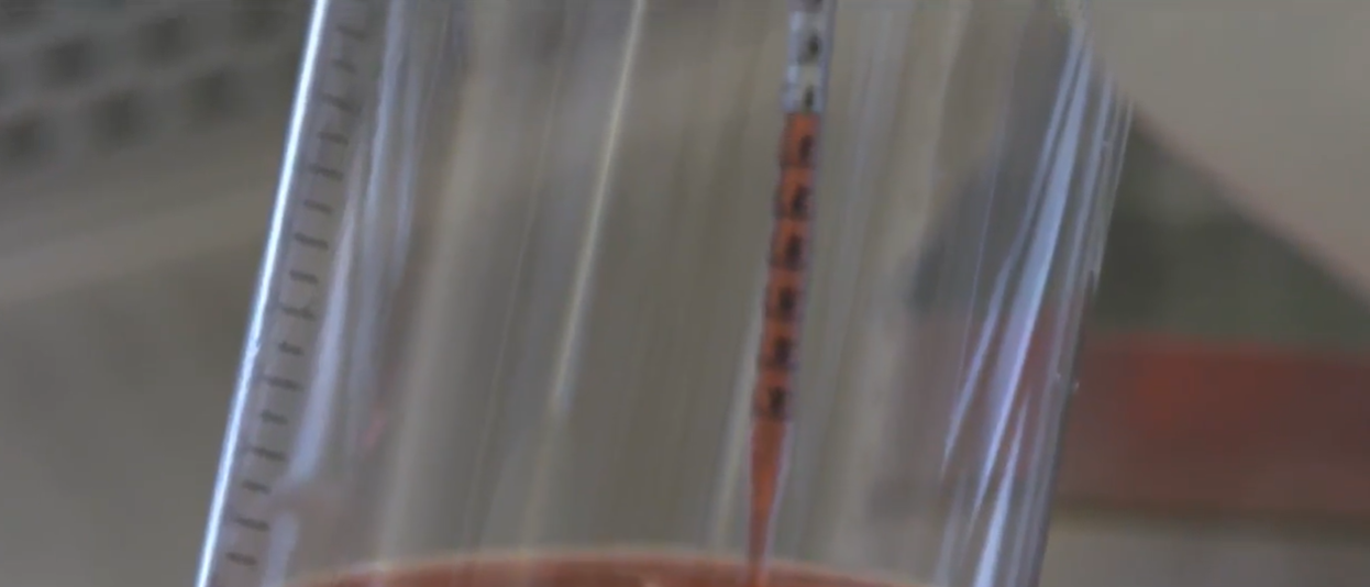 FDA Approves First Gene Therapy for Rare Genetic Hearing Loss – [your]NEWS