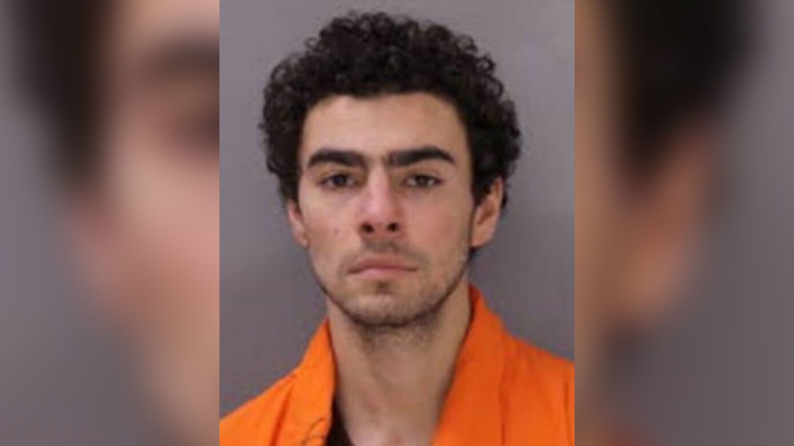 Luigi Mangione Seeks Delay of Federal Trial as Parallel Murder Case ...