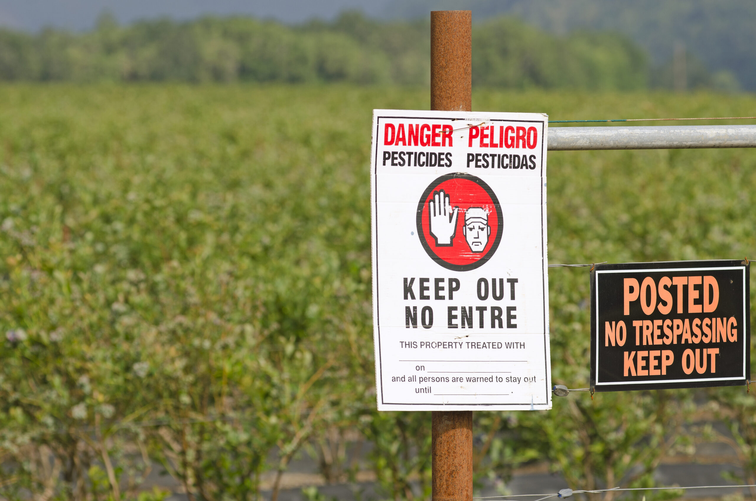 Consumer Alert: Organic Watchdog Report Warns EWG’s ‘Dirty Dozen’, ‘Clean 15’ List May Underestimate Pesticide Dangers