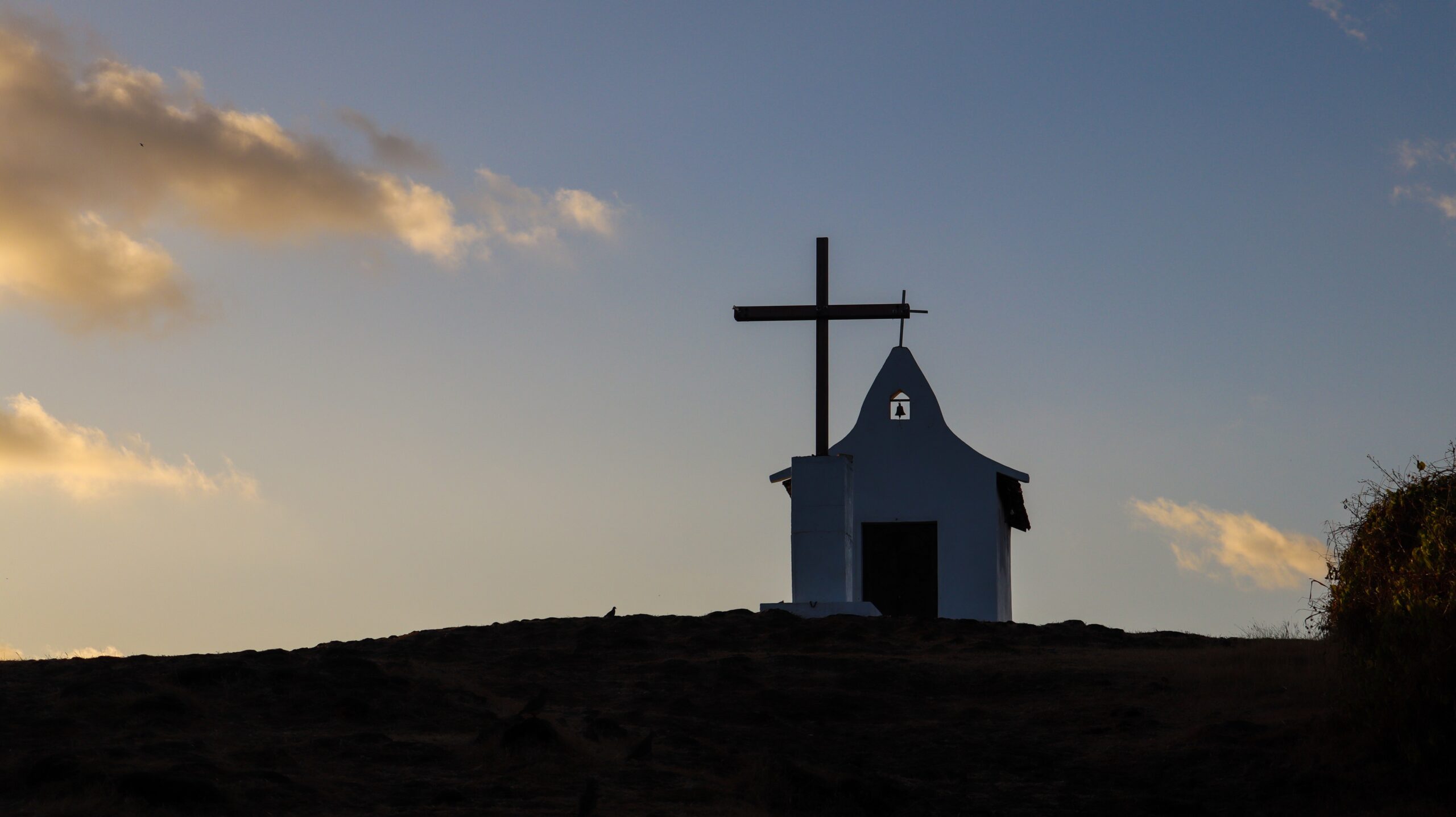 Adult Catholic Conversions Continues to Surge in U.S. and Abroad, With Young Men Driving Growth