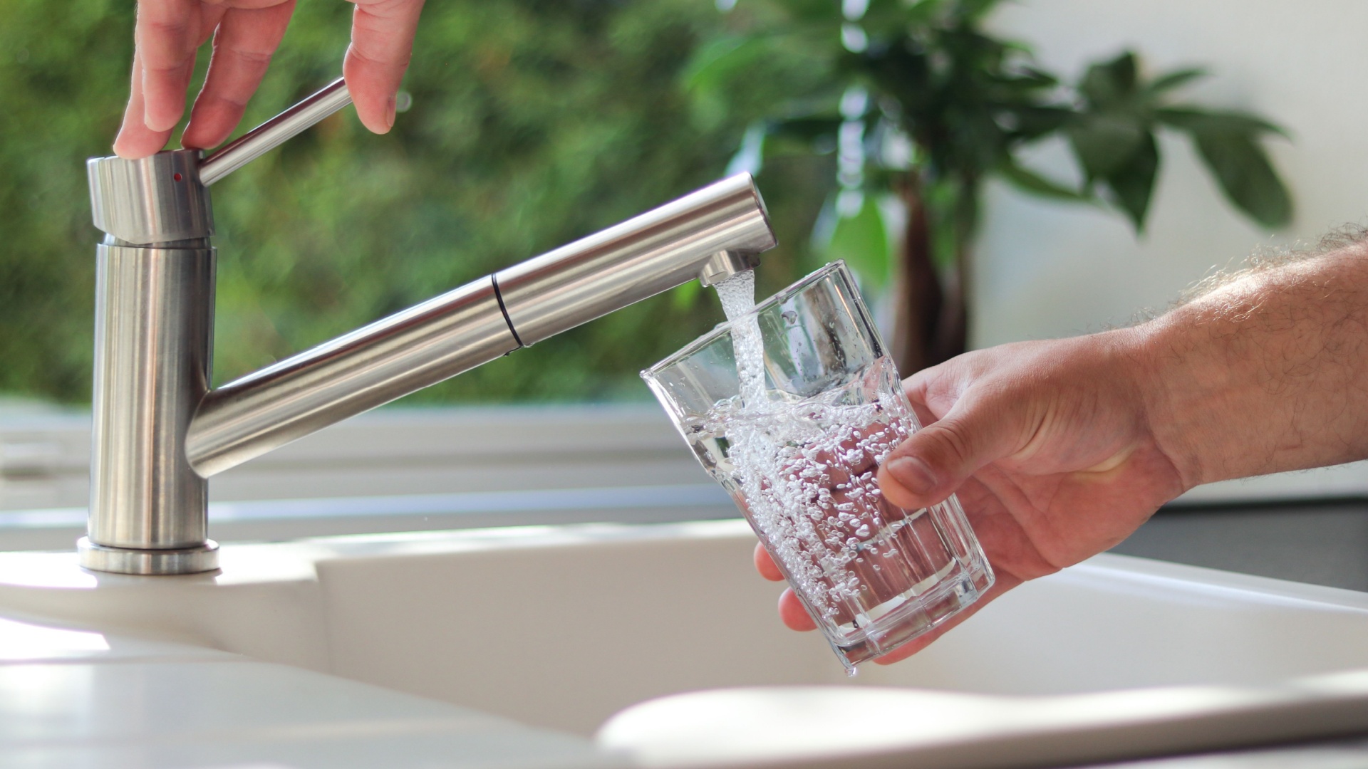 Abortion Pillution: The Environmental Cost of Abortion by Mail