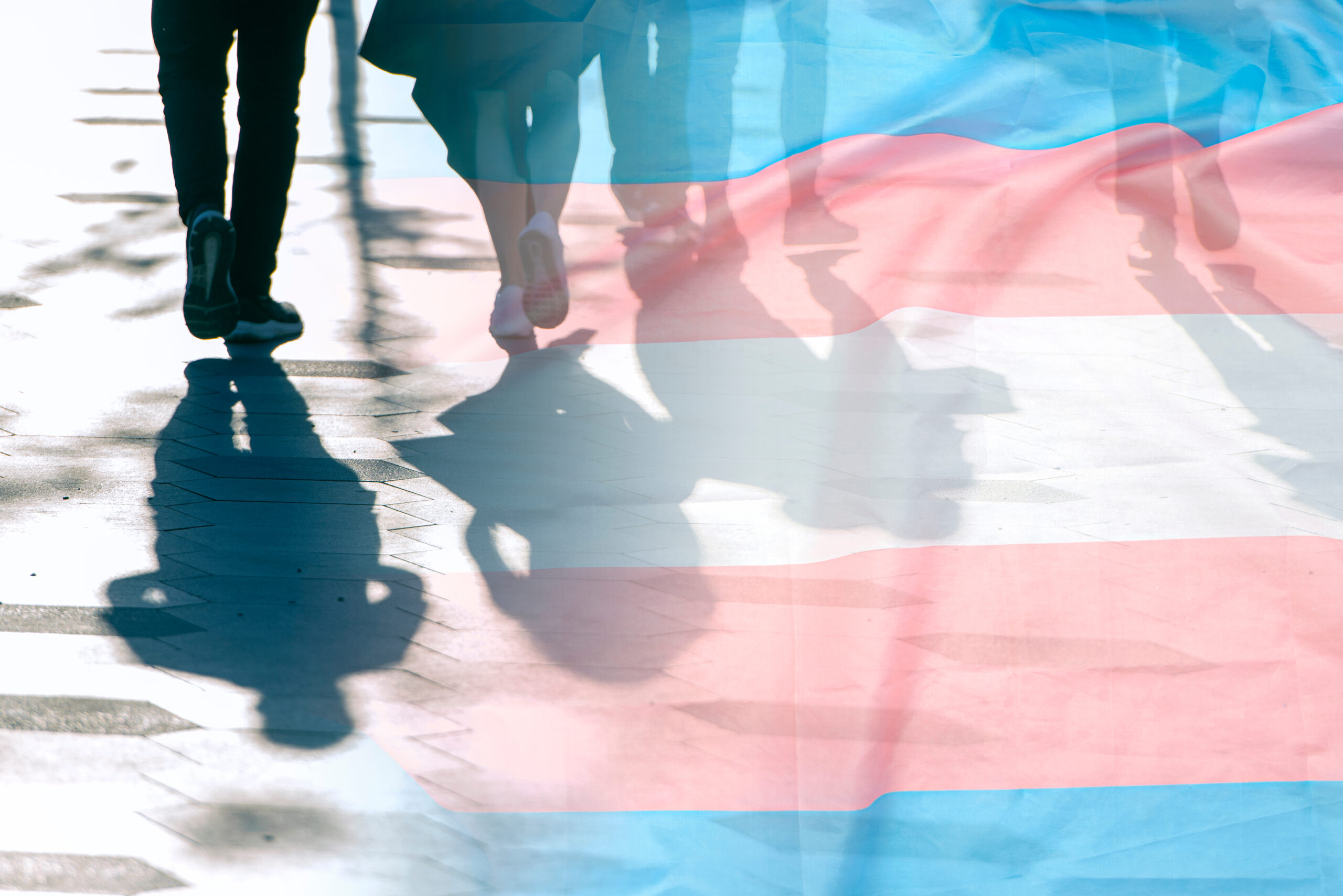 Seattle Nonprofits Strained as Transgender Relocations Rise, Report ...