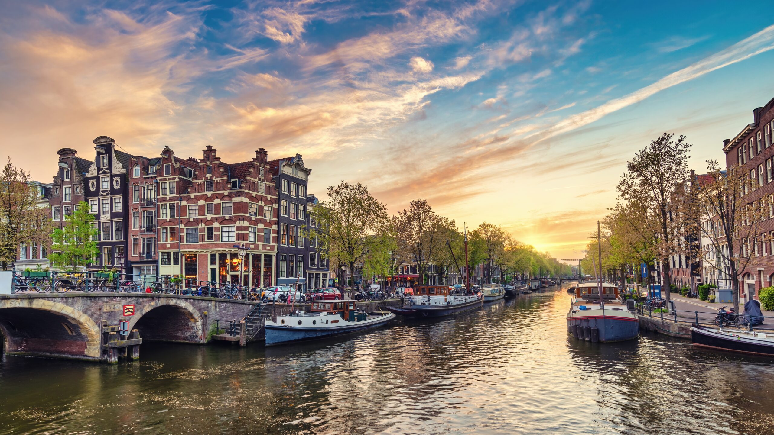 Amsterdam Enacts Ban on Meat and Fossil-Fuel Advertising in Public Spaces