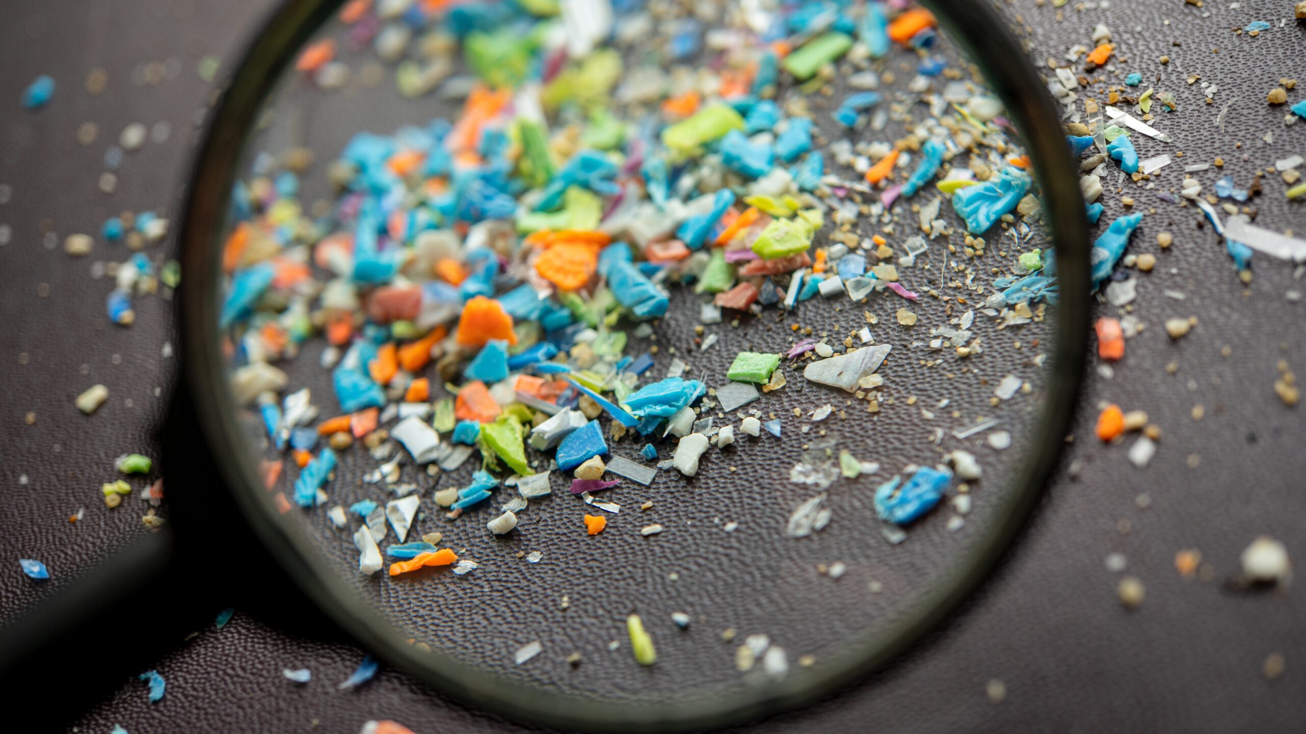 Study Detects Elevated Microplastic Levels Inside Prostate Cancer Tumors